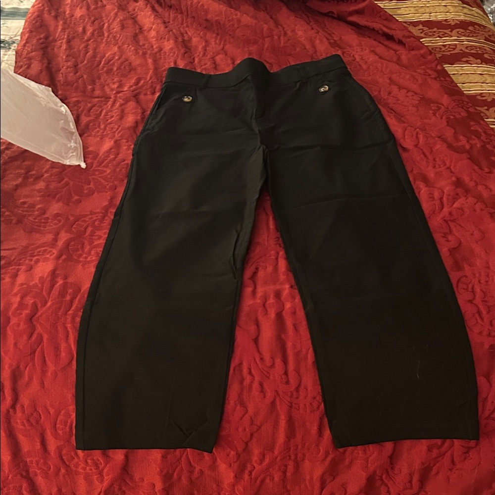 Black Cropped Wide-Leg Pants